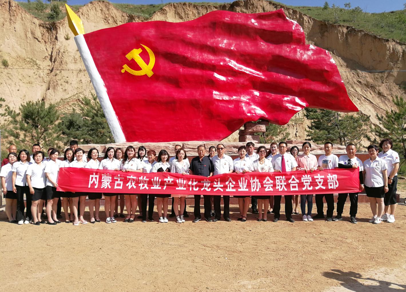 內蒙古農牧業(yè)產業(yè)化龍頭企業(yè)協會走進石人灣村開展“辦實事、解難題，送溫暖，傳黨恩”公益活動